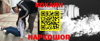 крисы Апшеронск